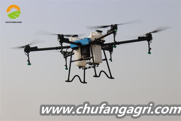 Dronechile