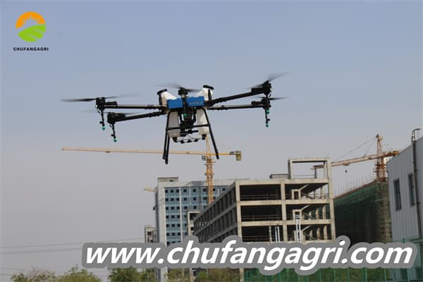 Dronechile