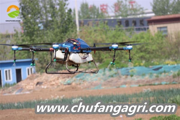 Dronechile