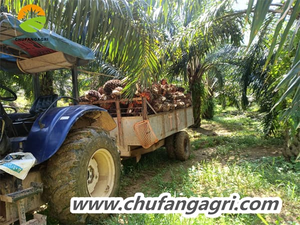 Liquid suspension fertilizer