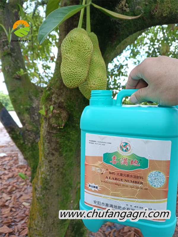 Humic acid fertilizers-Root Magic Cube