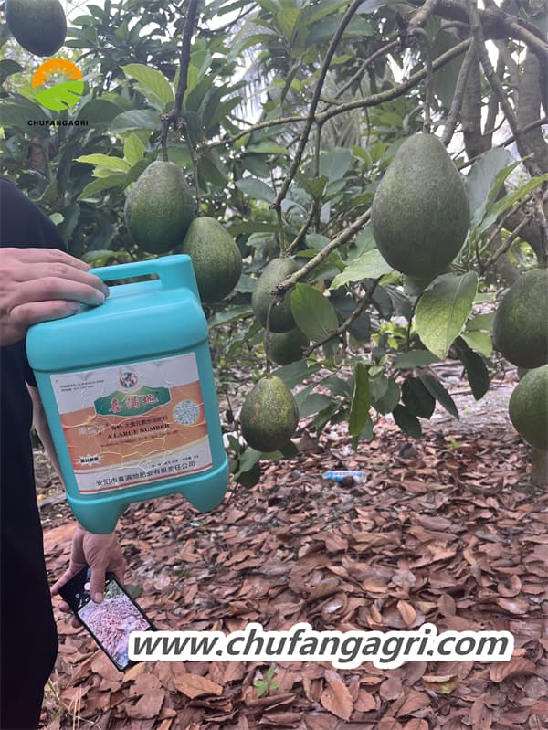 Liquid suspension fertilizer