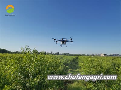 Pesticide sprayer drone