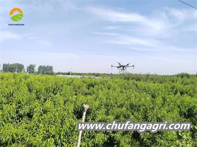 Uavs use in agriculture