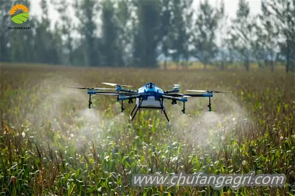 agricultura familiar