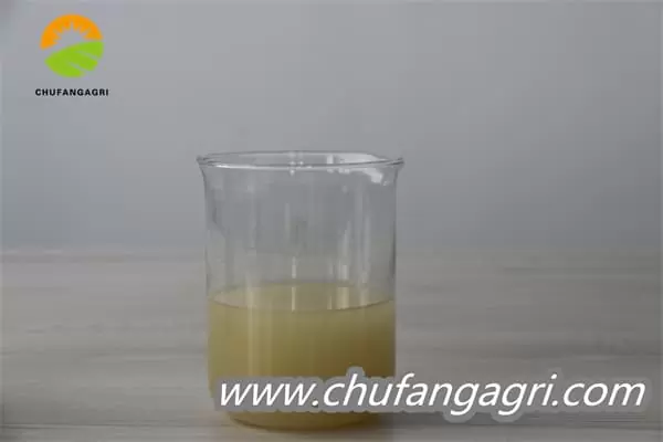 Chufangagri Bacillus amyloliticus