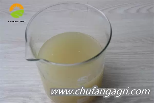 XMD Bacillus amyloliticus(BAA)