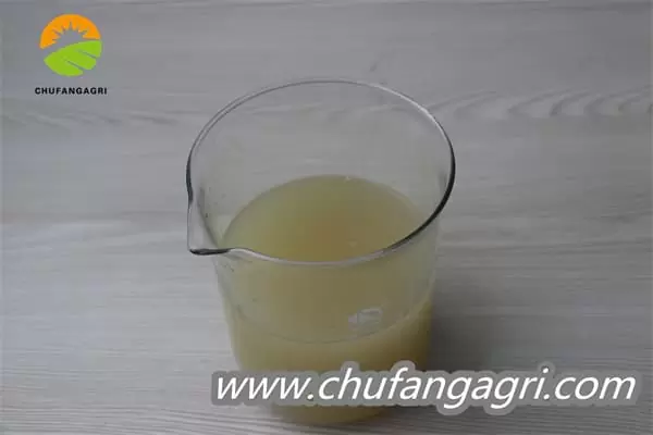 XMD Bacillus amyloliticus