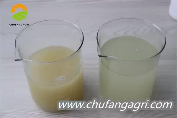Chufangagri Bacillus amyloliticus