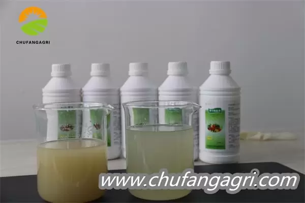 XMD Bacillus amyloliticus