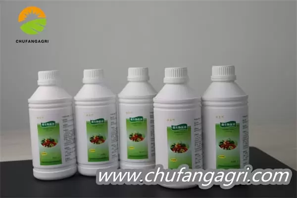 Bacillus amyloliquefaciens (TKJ)