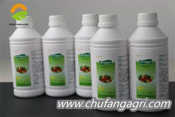 Chufangagri Bacillus amyloliticus(BAA)