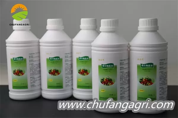 XMD Bacillus amyloliticus(TKJ)