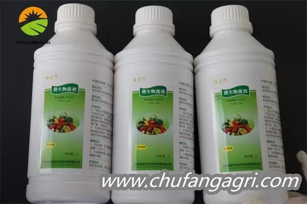 Chufangagri Bacillus amyloliticus(BAA)