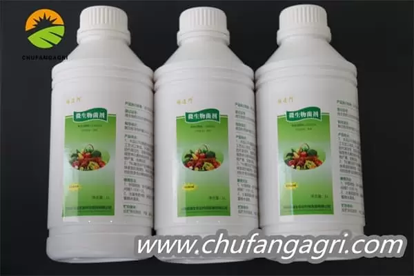 Bacillus amyloliquefaciens (TKJ)