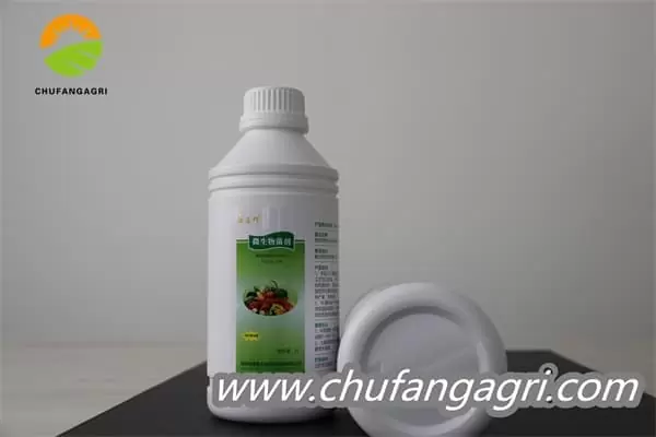 Chufangagri Bacillus amyloliticus