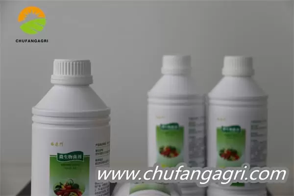 Bacillus amyloliquefaciens (TKJ)