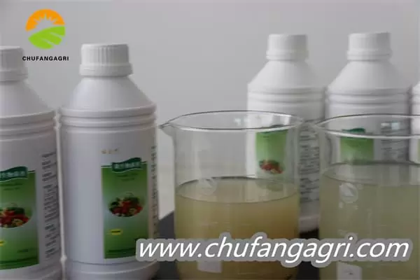 Chufangagri XMD Bacillus amyloliticus(BAA)