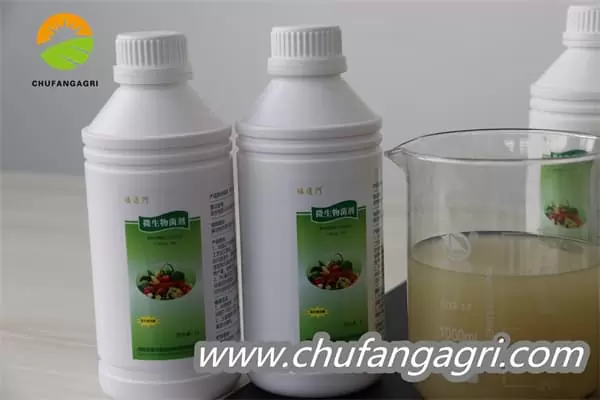 Chufangagri Bacillus amyloliticus(TKJ)