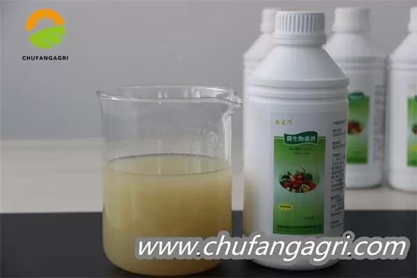 Bacillus amyloliquefaciens (TKJ)