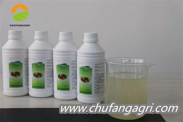 Chufangagri Bacillus amyloliquefaciens (TKJ)