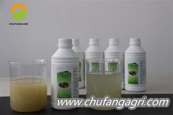 Chufangagri Bacillus amyloliticus(BAA)