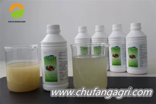 Chufangagri XMD Bacillus amyloliquefaciens (TKJ)