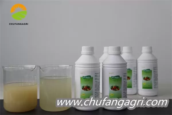 Chufangagri XMD Bacillus amyloliticus(BAA)