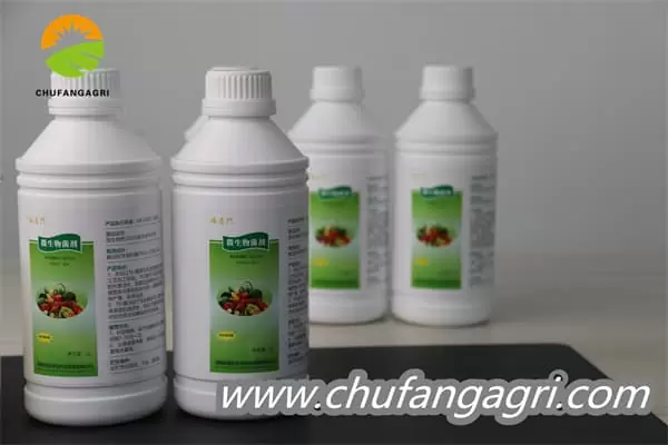 XMD Bacillus amyloliticus(BAA)