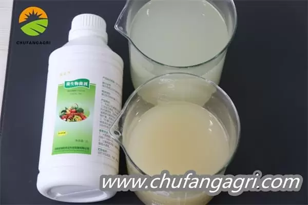 Bacillus amyloliticus