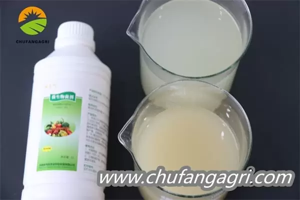 Bacillus amyloliticus(BAA)