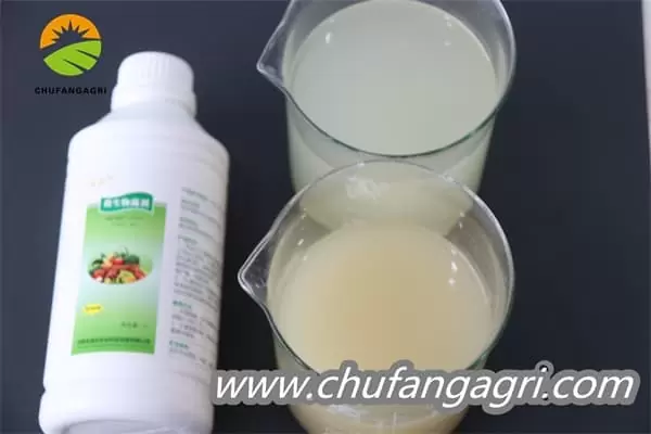 XMD Microbial Agent-Bacillus amyloliticus(BAA)