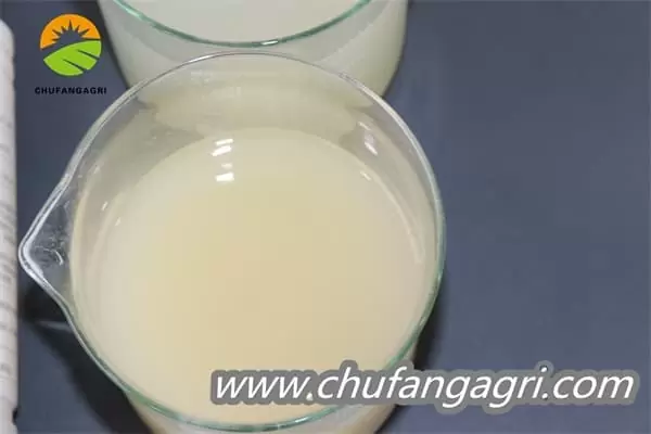 Chufangagri Bacillus amyloliticus