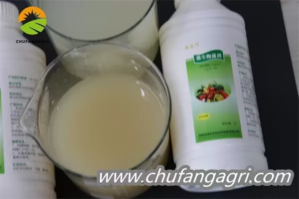 Chufangagri Bacillus amyloliticus(BAA)