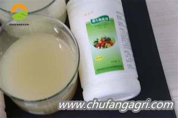Chufangagri Bacillus amyloliticus(BAA)