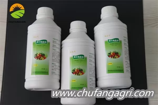 Chufangagri XMD Bacillus amyloliticus