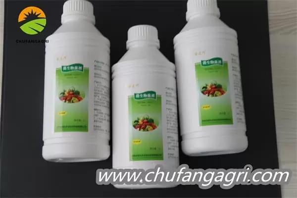 Chufangagri Bacillus amyloliquefaciens (TKJ)