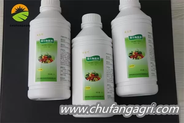 Chufangagri Bacillus amyloliticus(BAA)