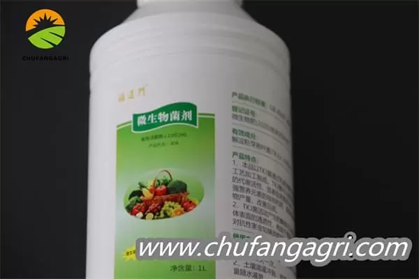 Chufangagri XMD Bacillus amyloliquefaciens (TKJ)