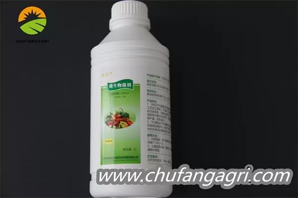 Chufangagri Bacillus amyloliticus(BAA)