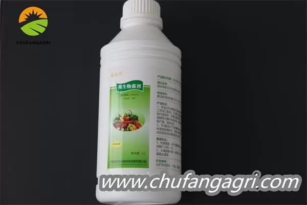Chufangagri XMD Bacillus amyloliticus(BAA)