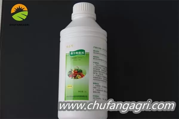 Bacillus amyloliticus(BAA)