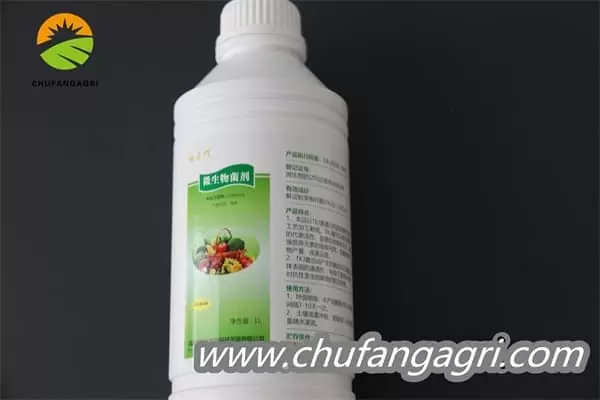 Chufangagri Bacillus amyloliticus