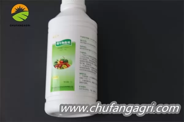 Bacillus amyloliquefaciens (TKJ)