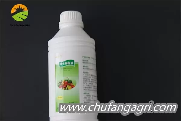 Chufangagri Bacillus amyloliquefaciens (TKJ)