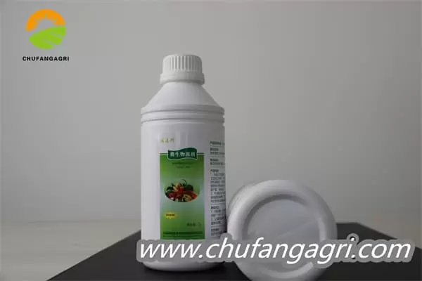 XMD Bacillus amyloliticus