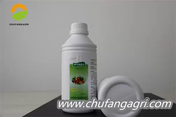 XMD Microbial Agent-Bacillus amyloliticus(TKJ)