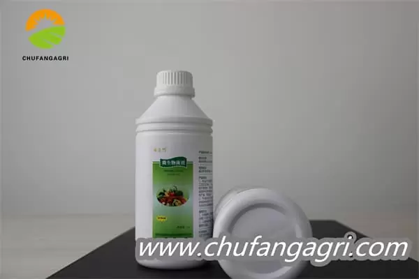 Chufangagri Bacillus amyloliticus