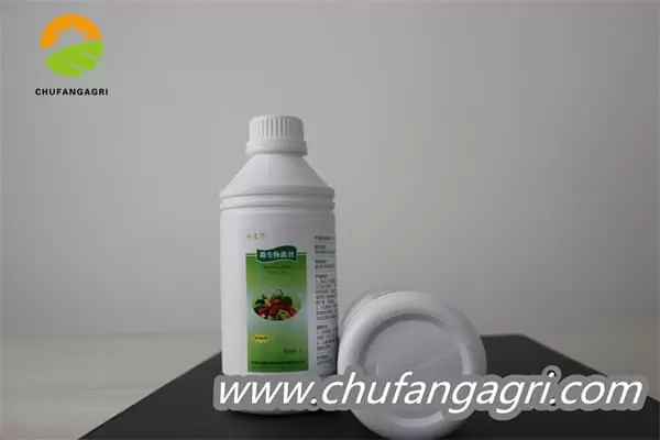 Chufangagri XMD Bacillus amyloliticus