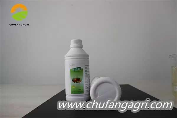 Bacillus amyloliquefaciens (TKJ)